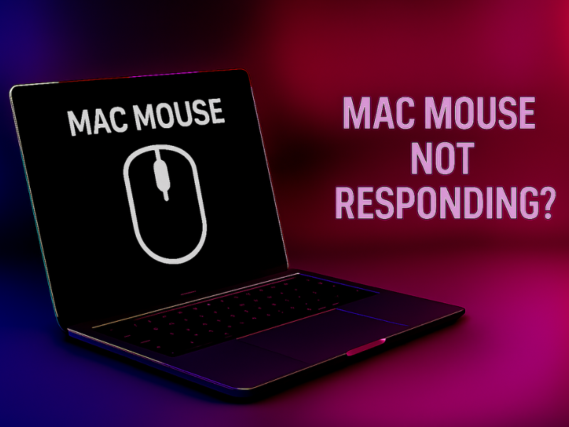 Mac Mouse Not Responding? Fix It in Seconds